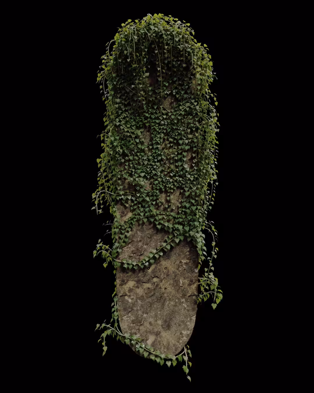 Skateboard II