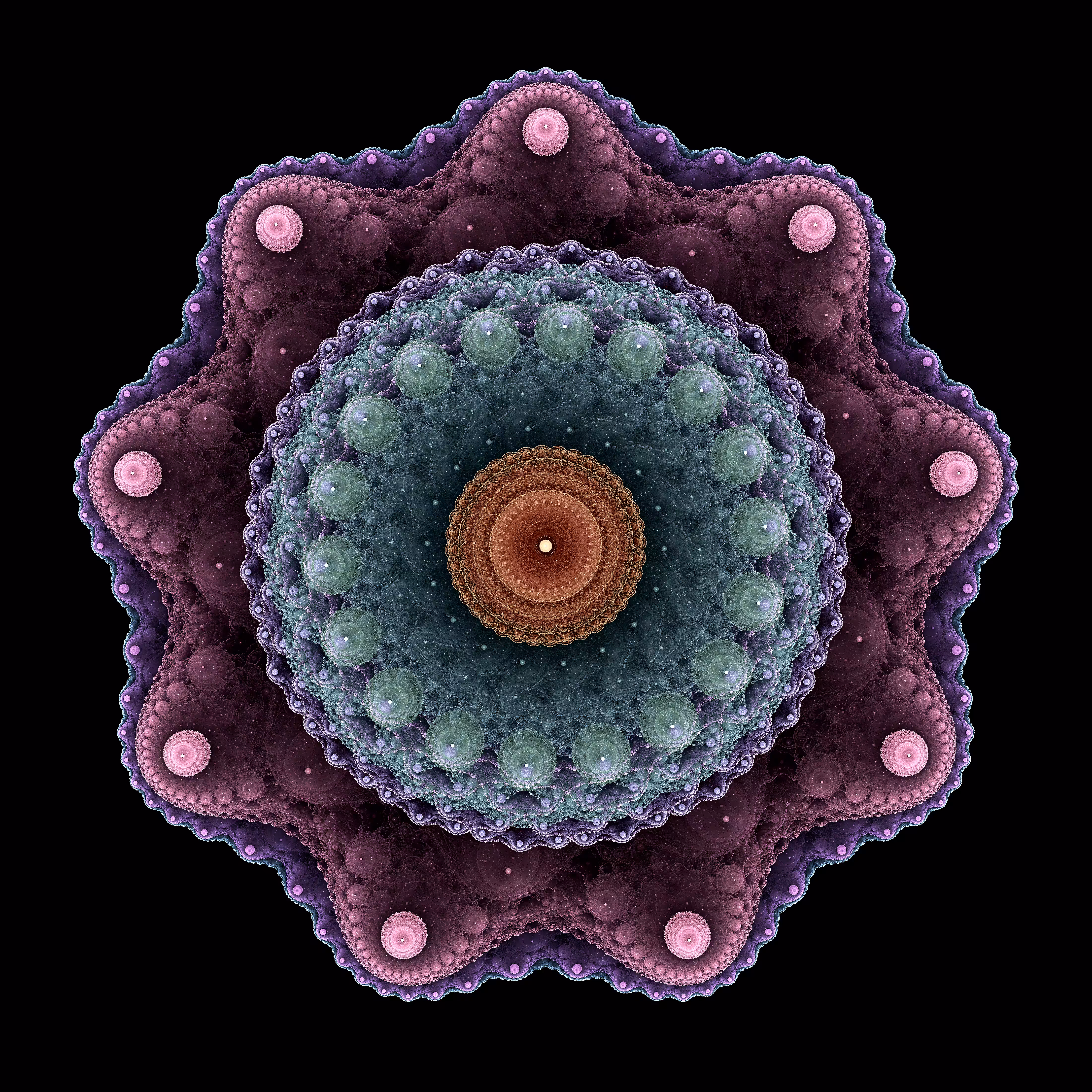 The Sea Star