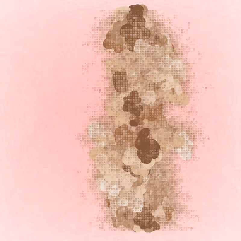 Seed Facade #70