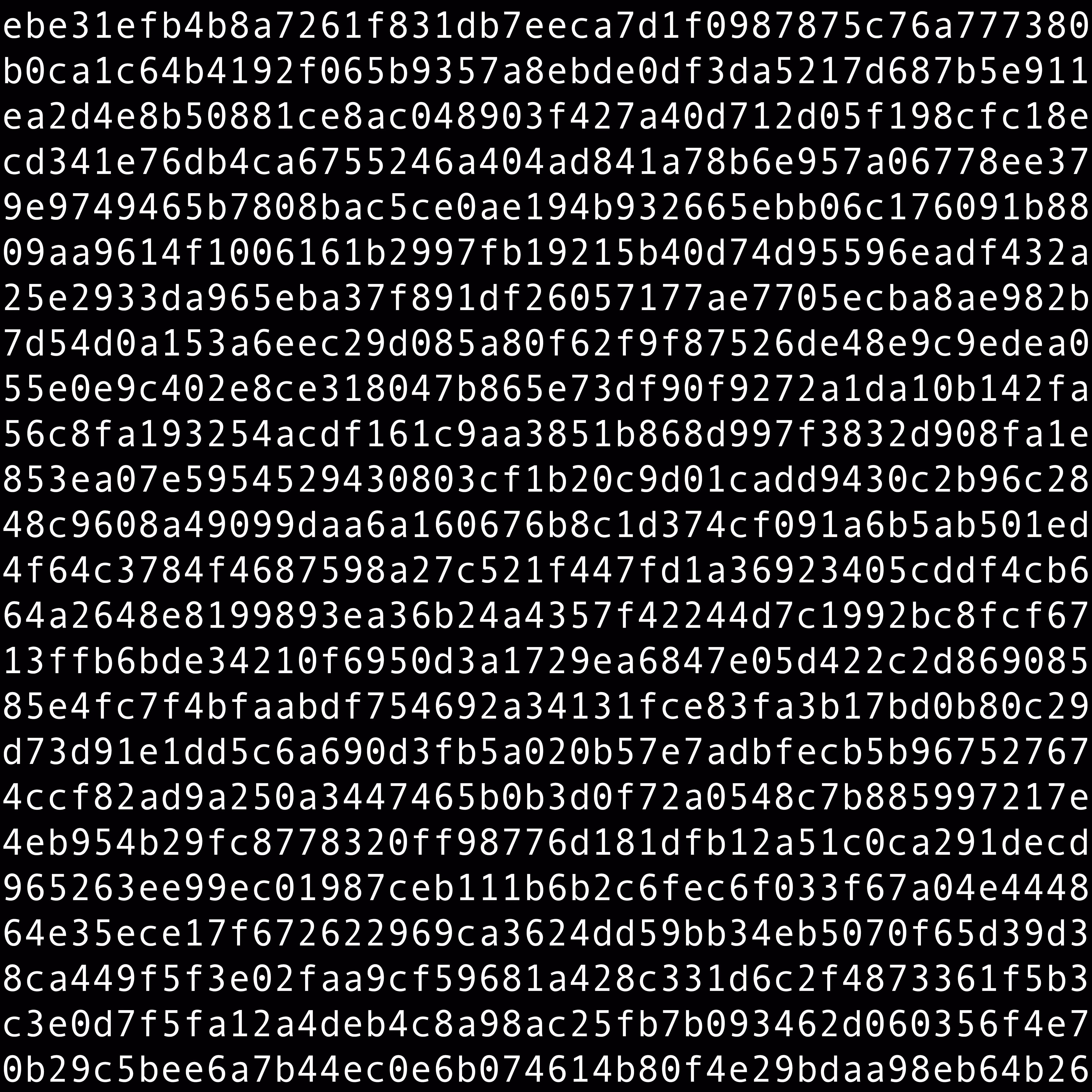 1111 #0528