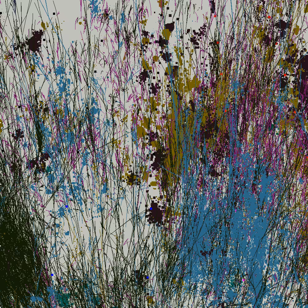 Infinite Garden: 54610 Flowers