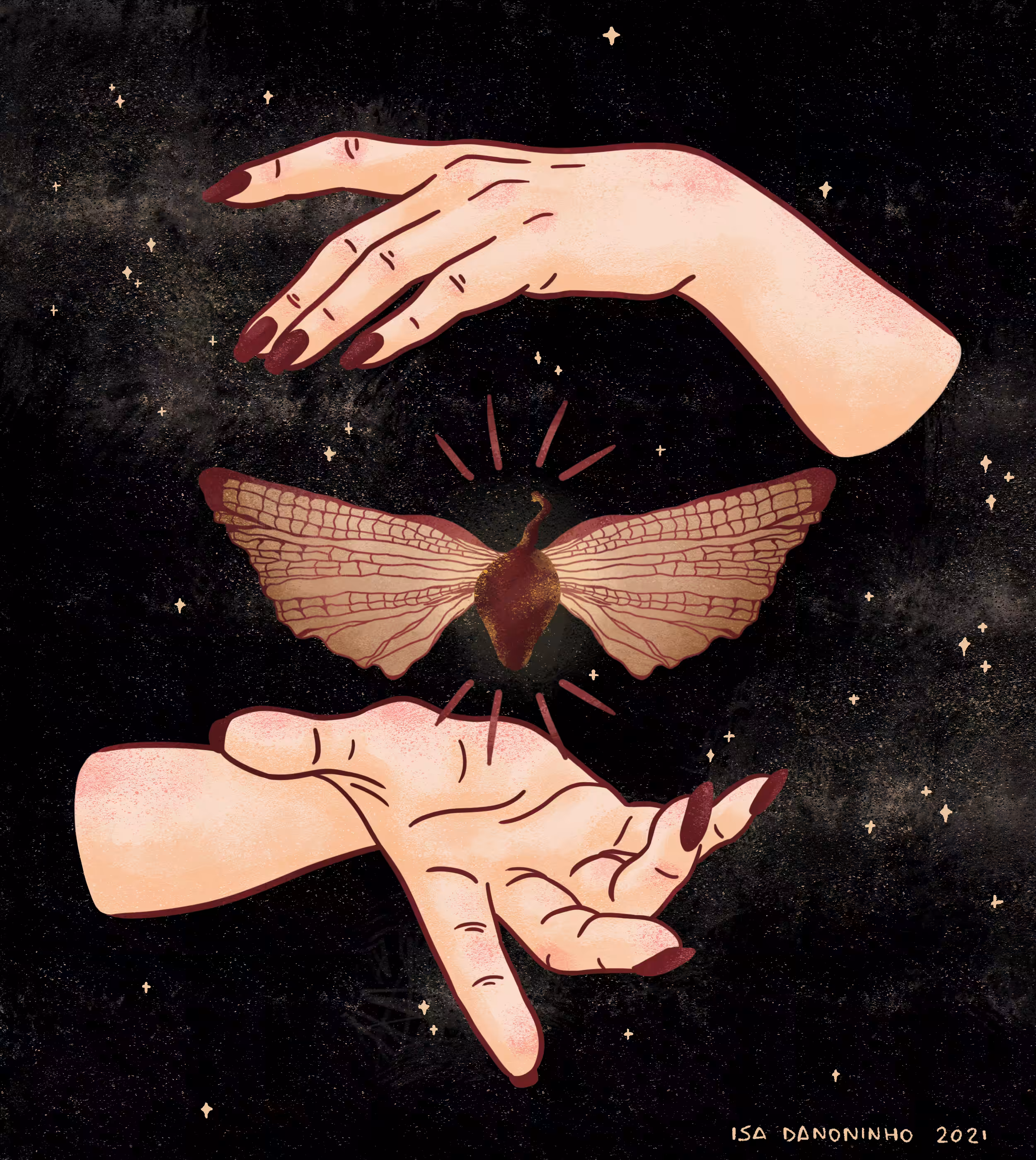 MOTH FETUS 09