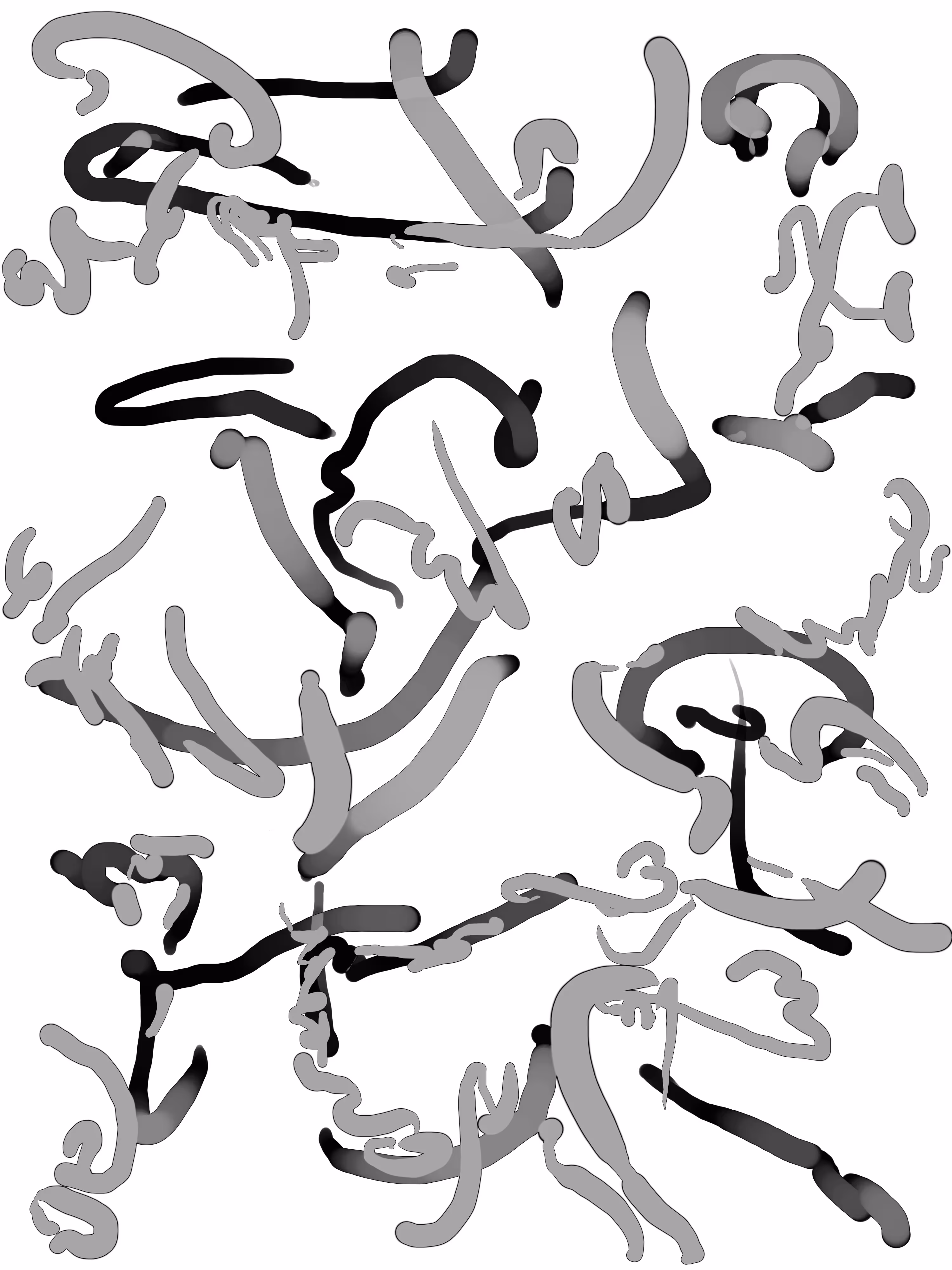 ˊ~ˋ: ✧v✧