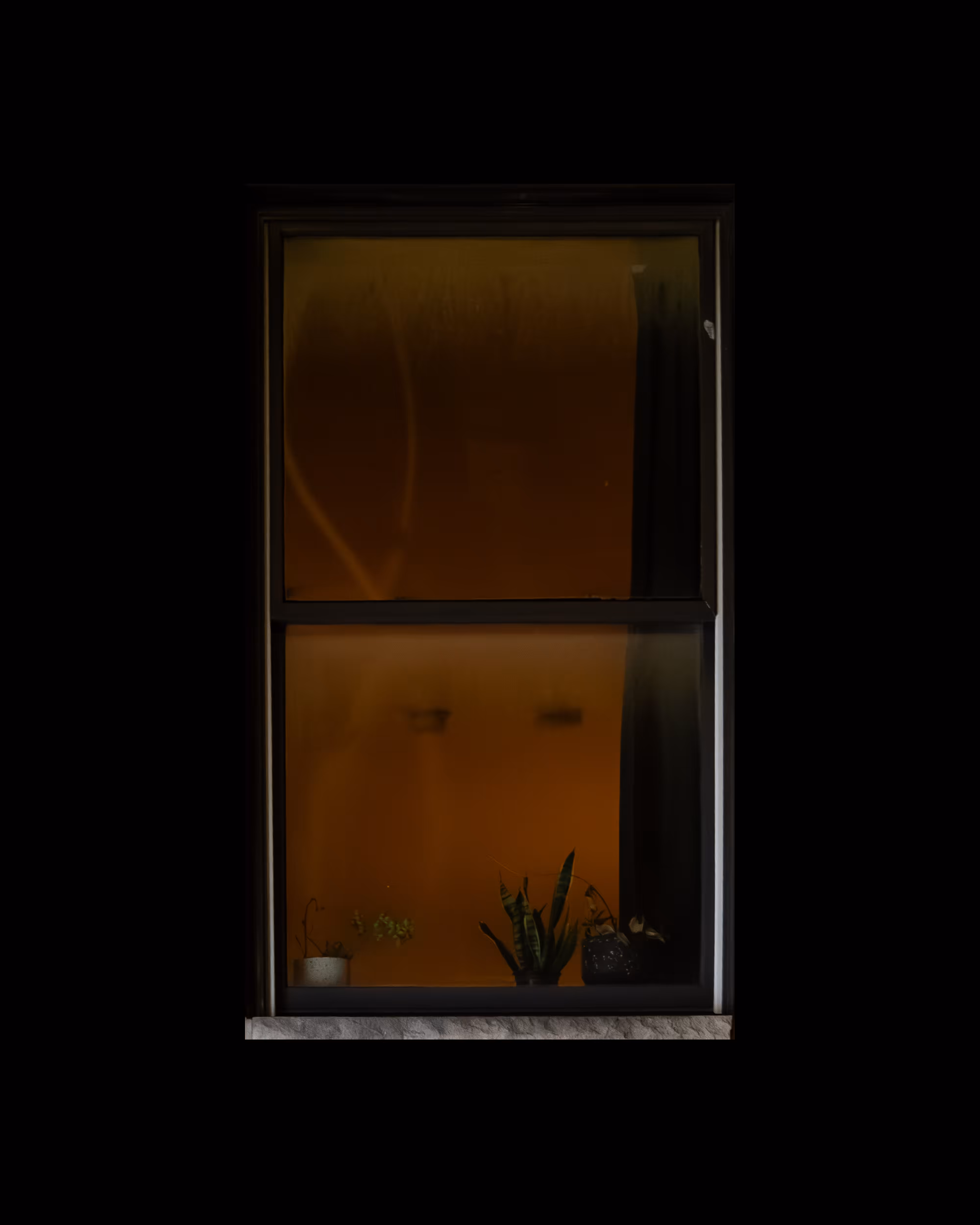 WINDOWS // NYC: WINDOW 191