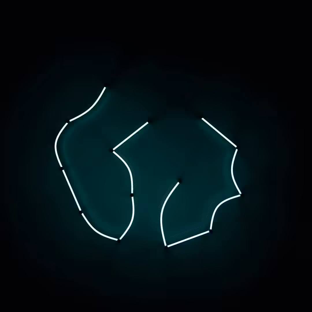 Neon Light #0511