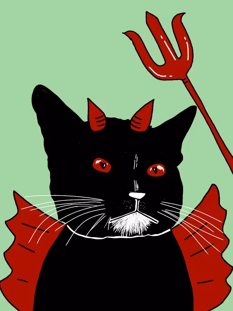 Cutter the cat CEO "Little devil"