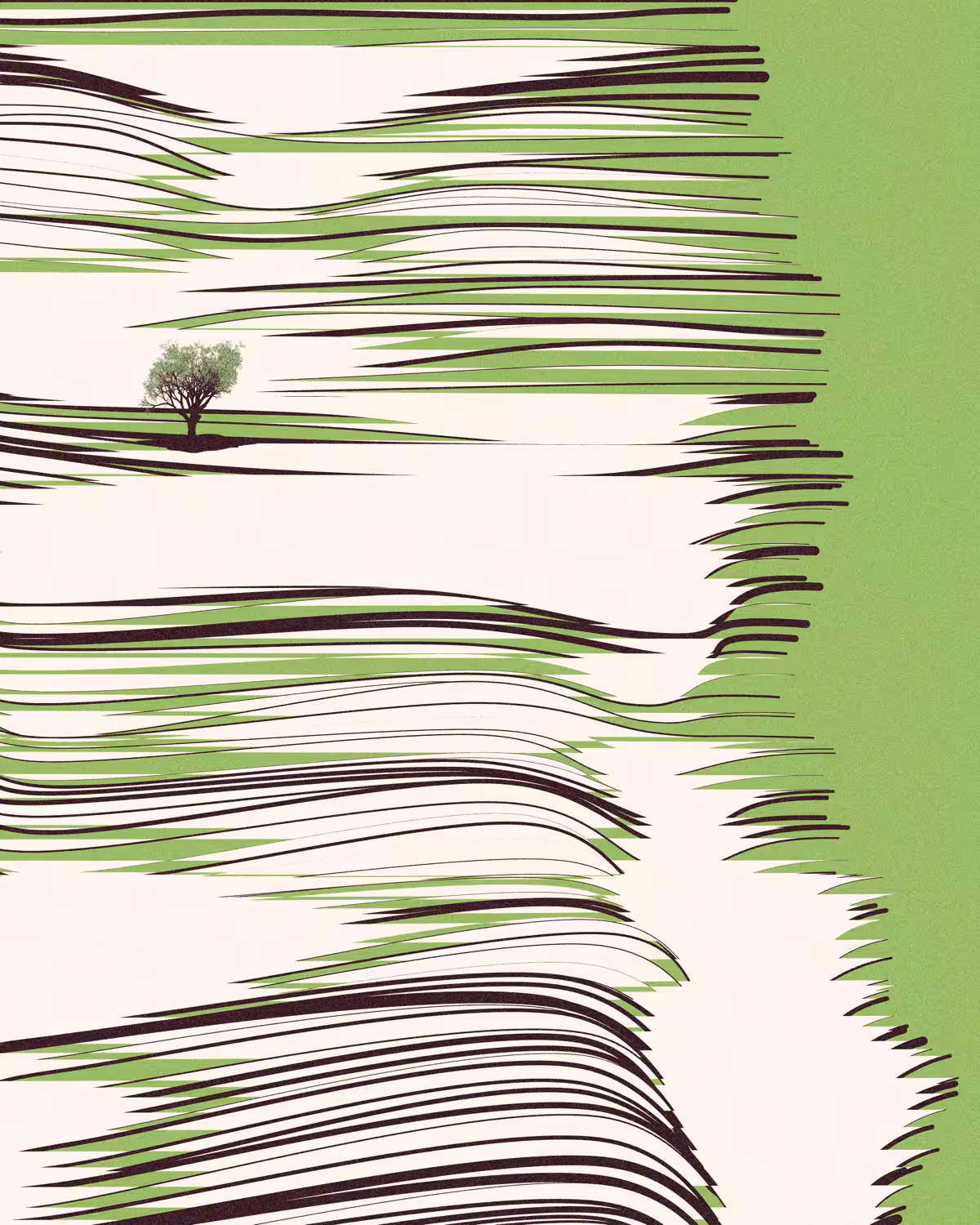 A tree in the distance