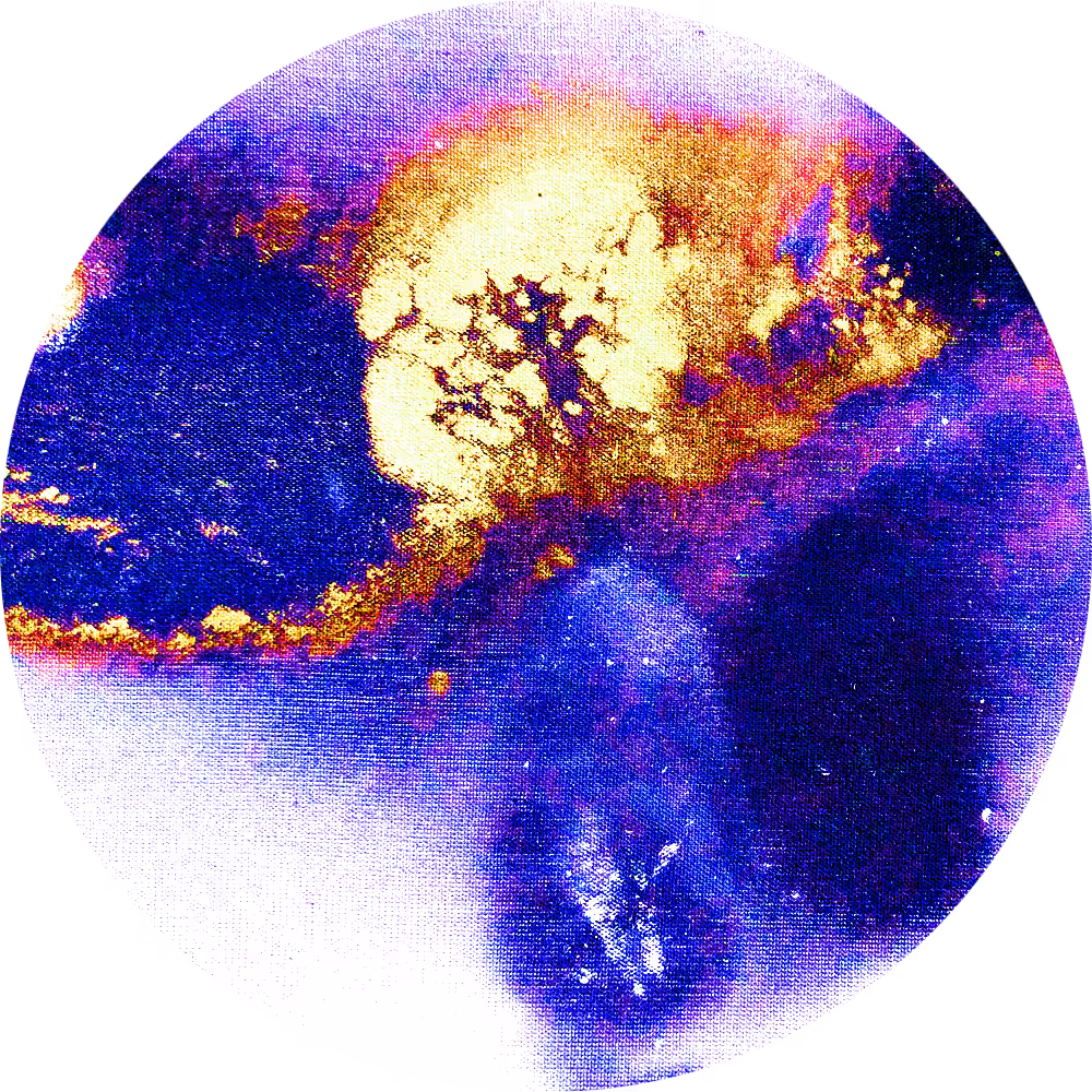 Strange Encounter with Golden Tree