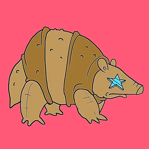 #09 Armadillo