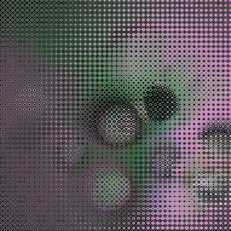 Focus #66