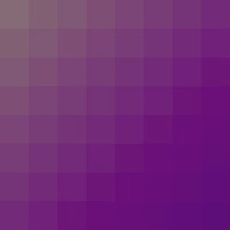 Primal Pixels #13