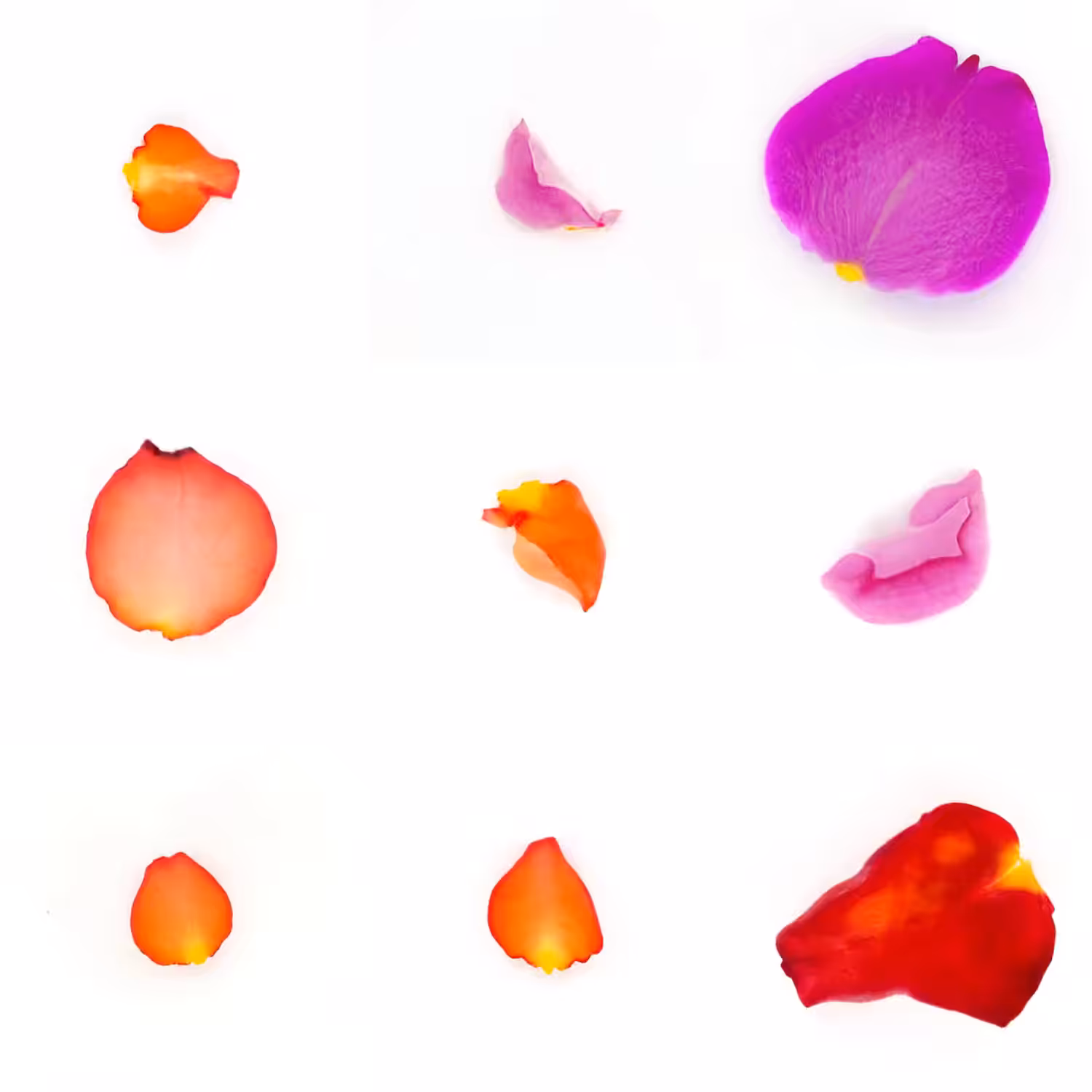 Infinite Petals 3x3#2