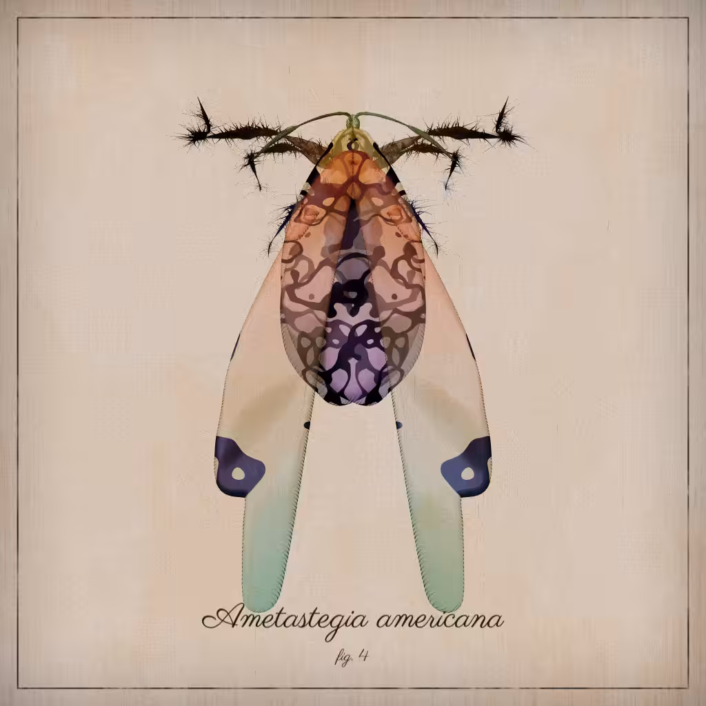 ProcGen Entomology #442