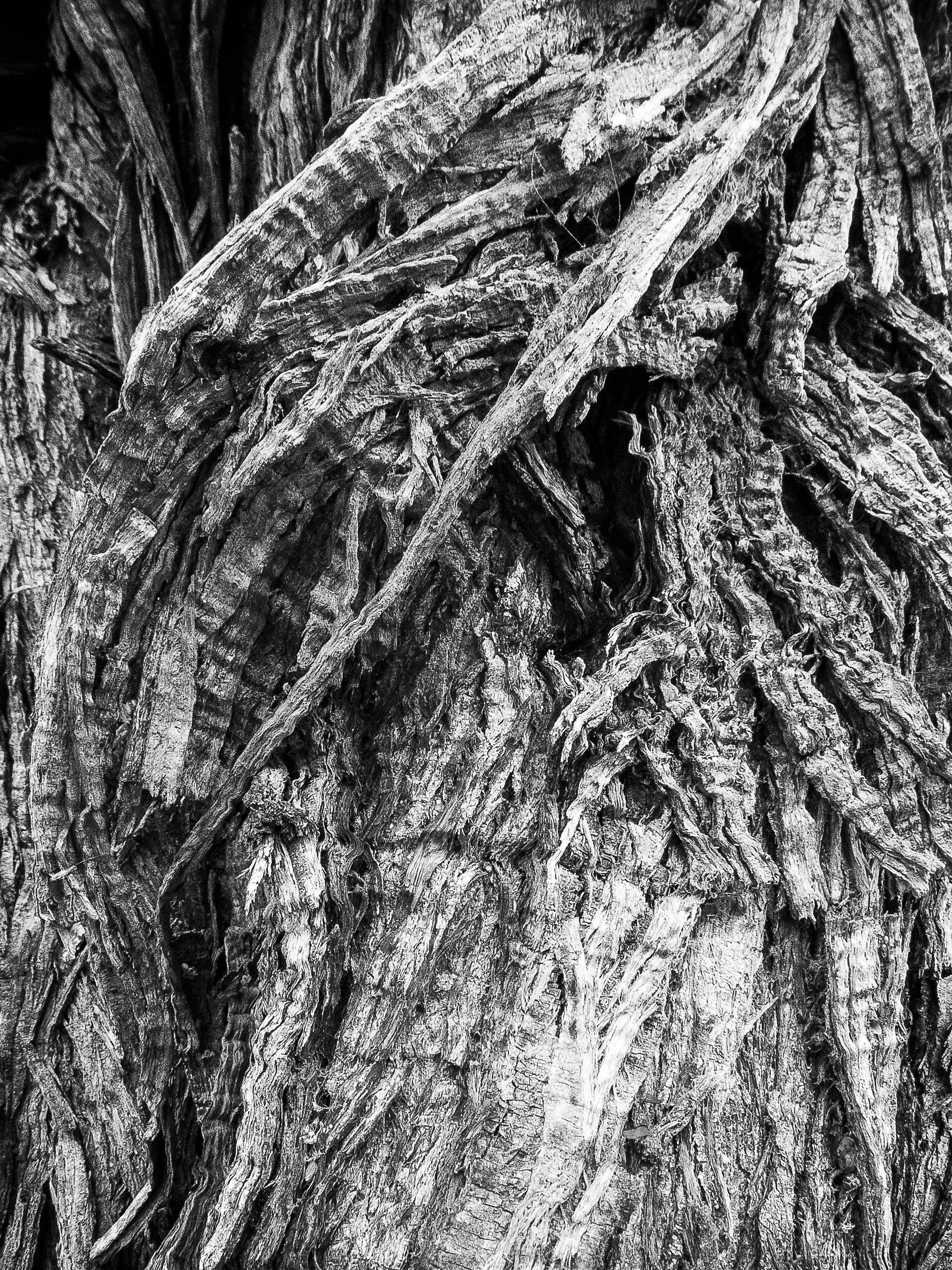 Confusing Natural Abstraction