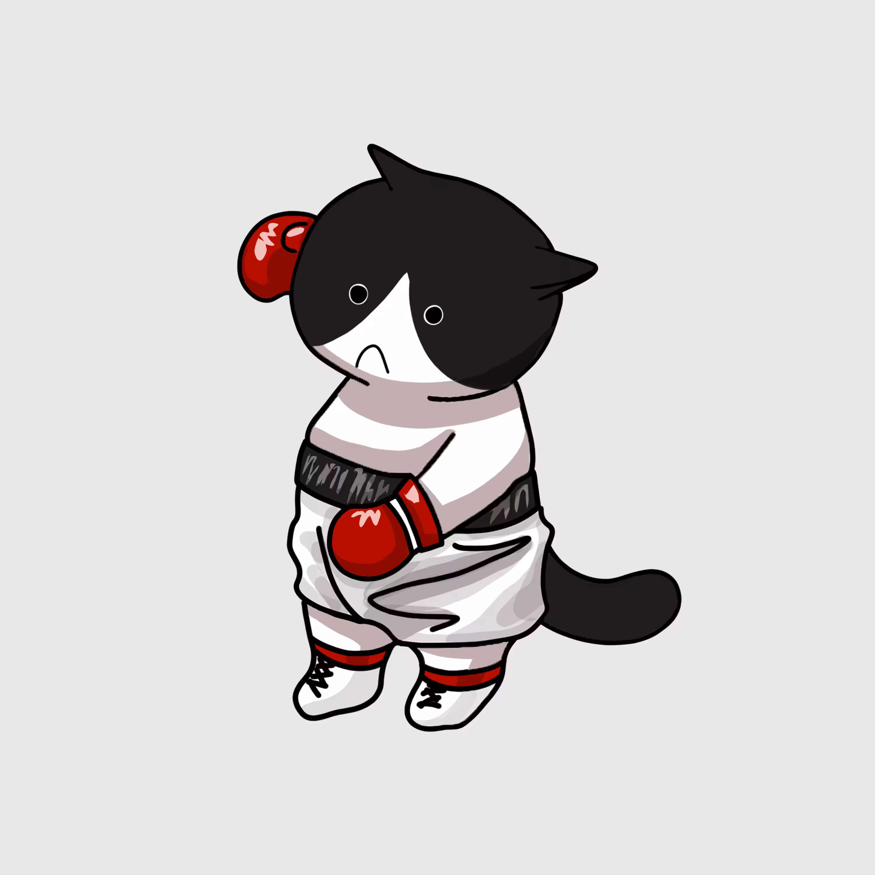 BOXING CAT #1