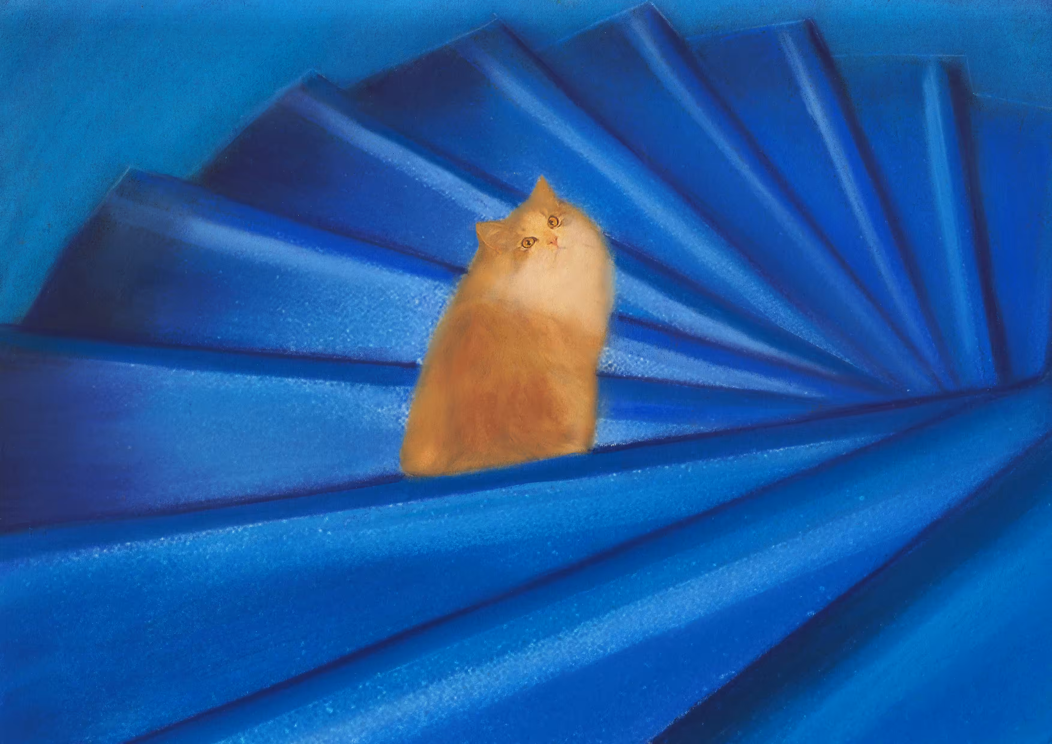 cats&another beautiful pets: Down the stairs 