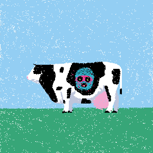 cow #7