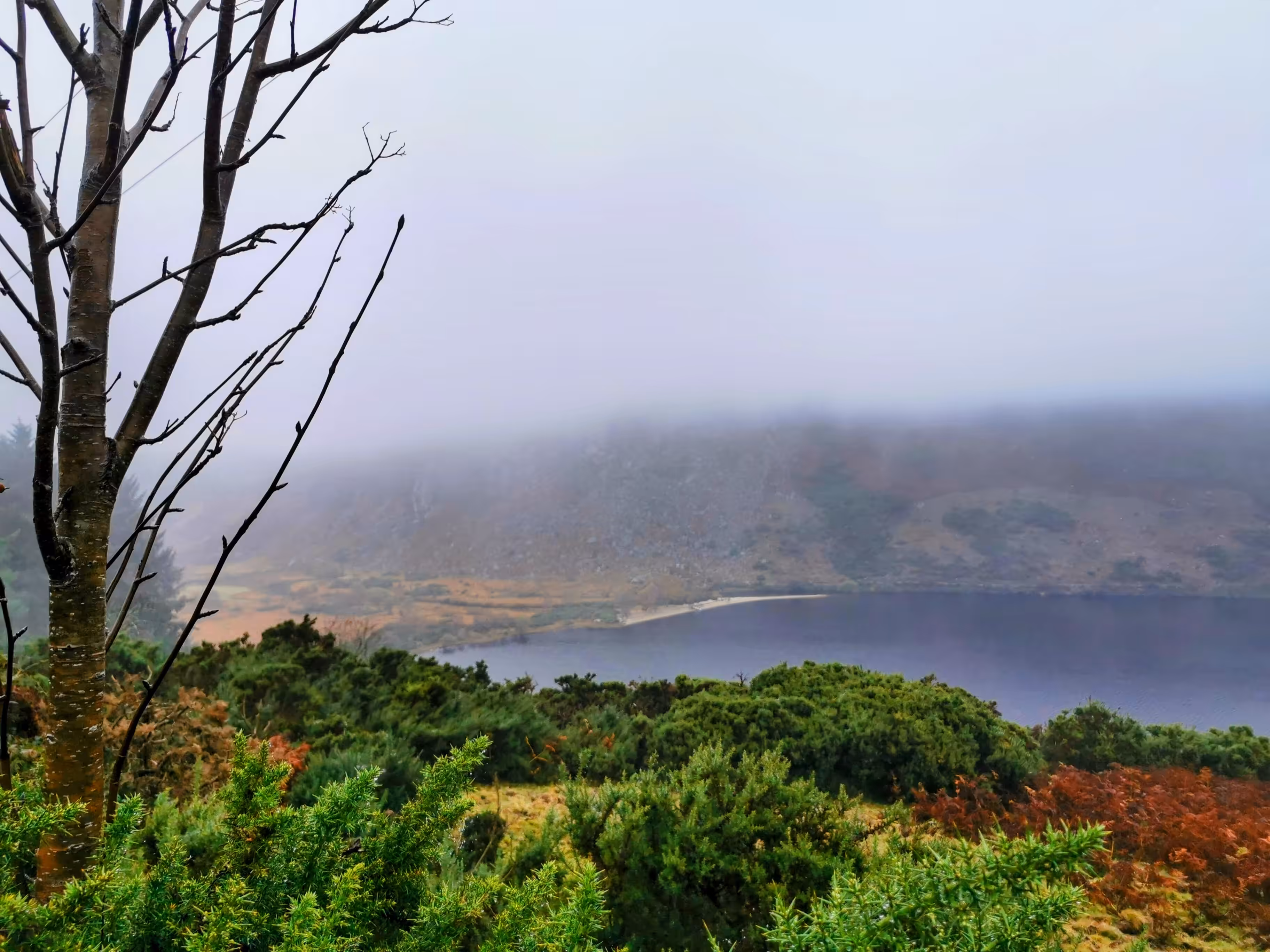 Nature's Canvas: Lough Dan in Autumn 