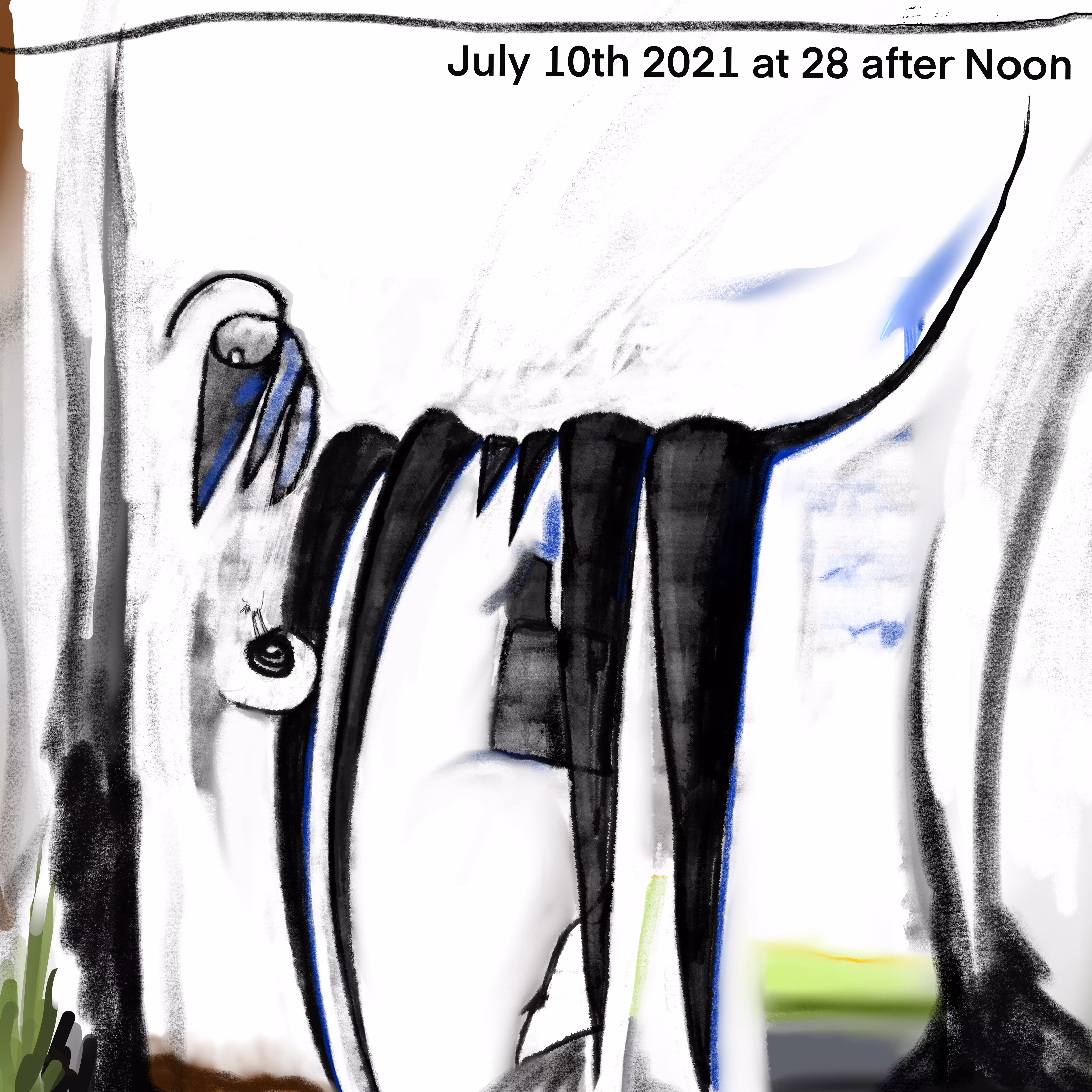 Slinky Dog [July 10th 2021 at 28 after Noon]