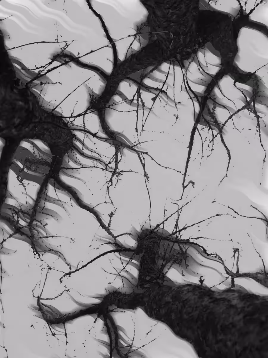 Dance of Branches