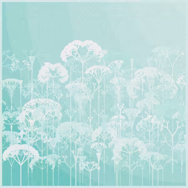 SERENITY #12