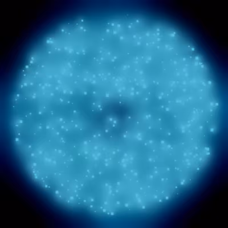 Petri Dish #8