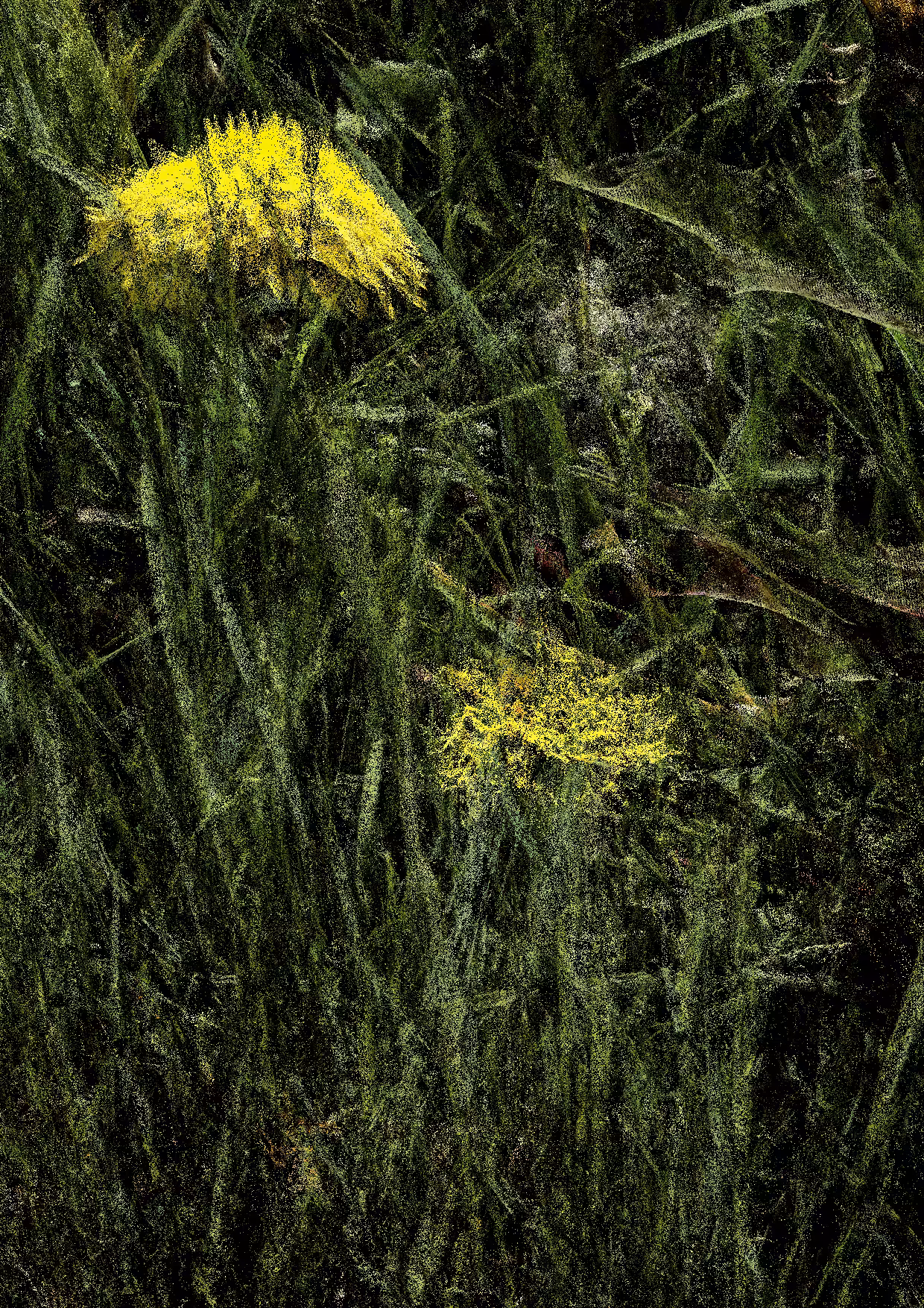 Overgrowth 0275