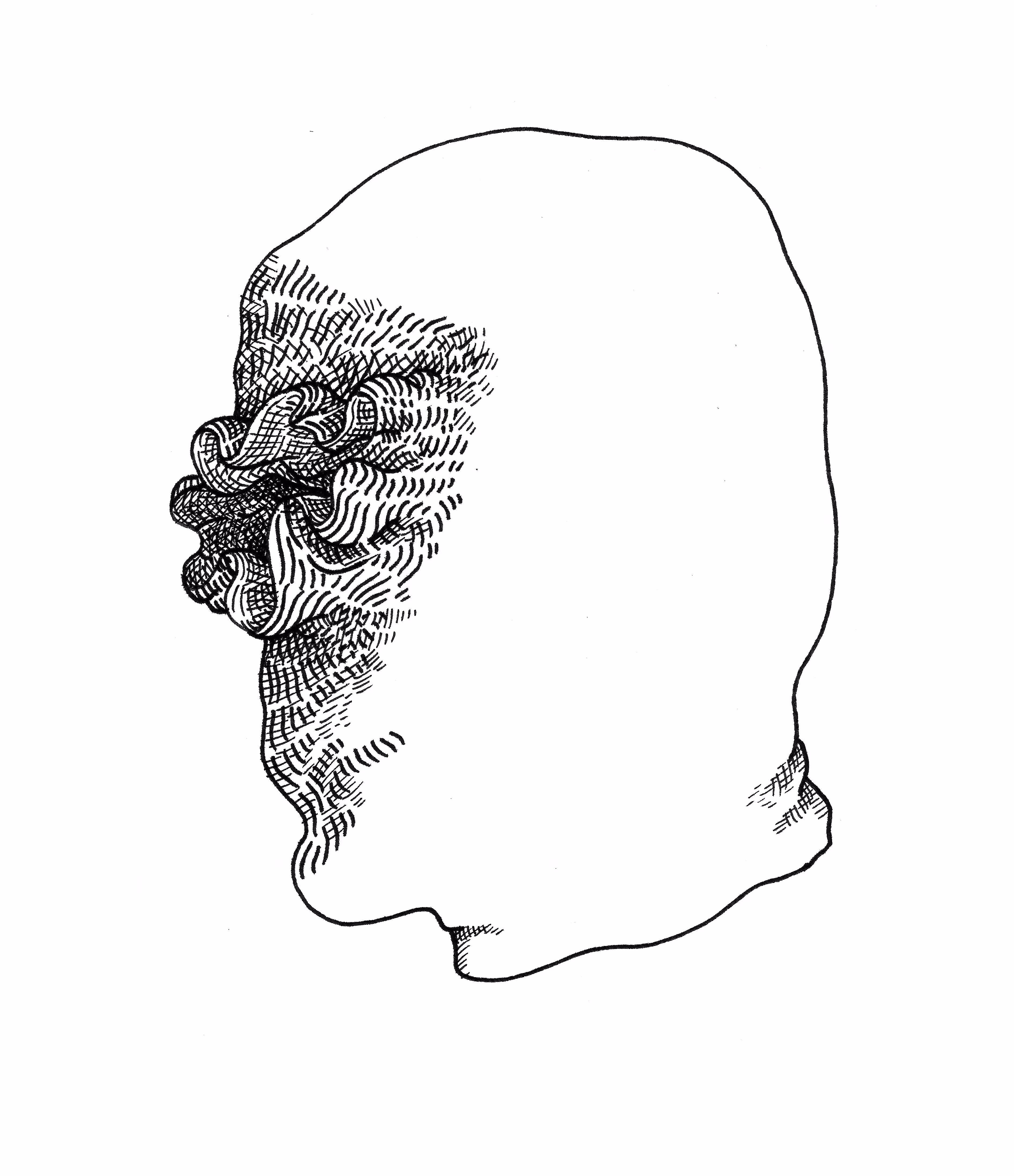 Self-recognition Syndrome