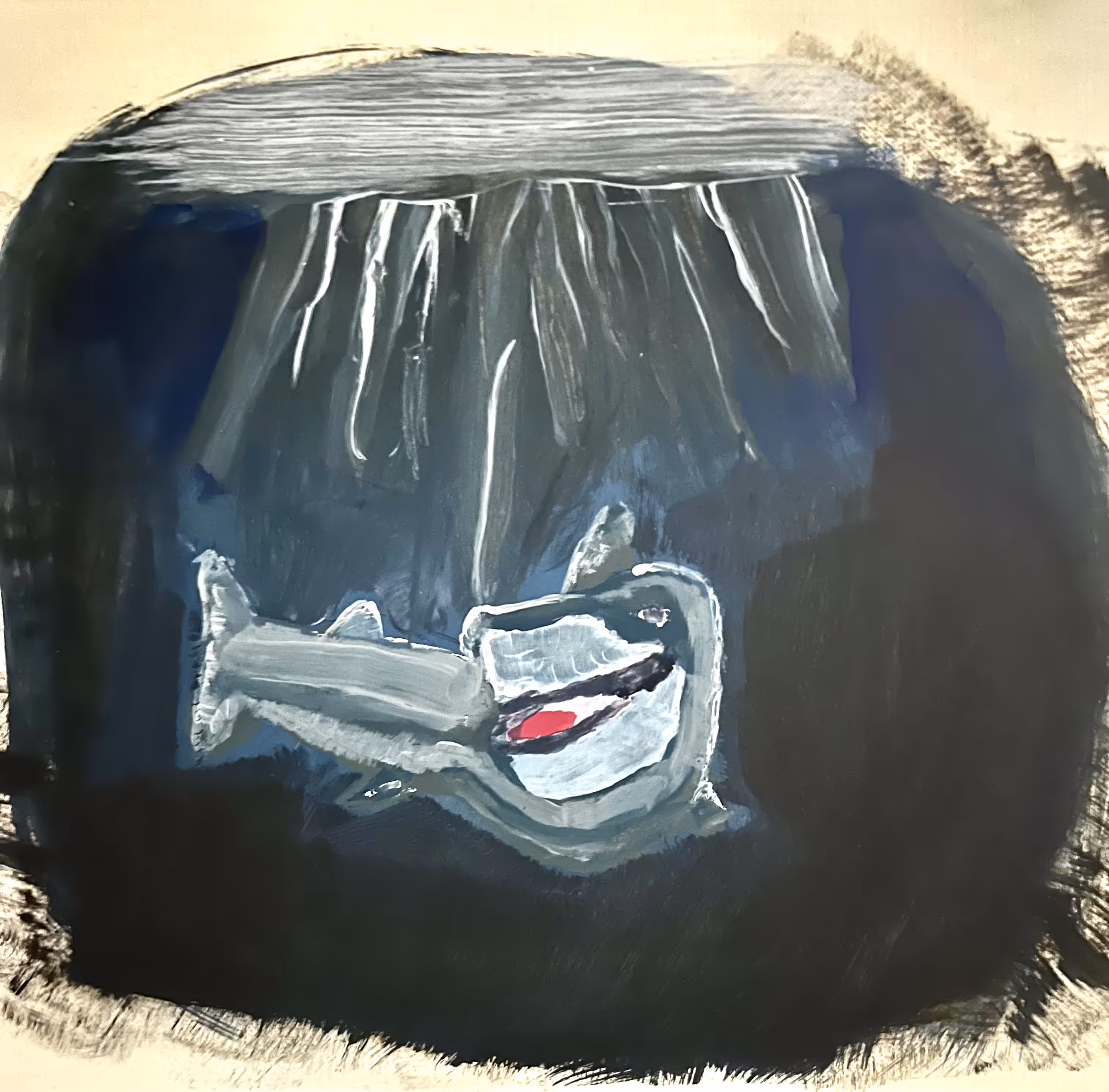 Mr sharks