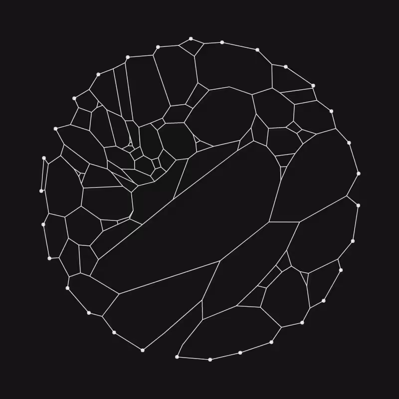 Elastic Web #204