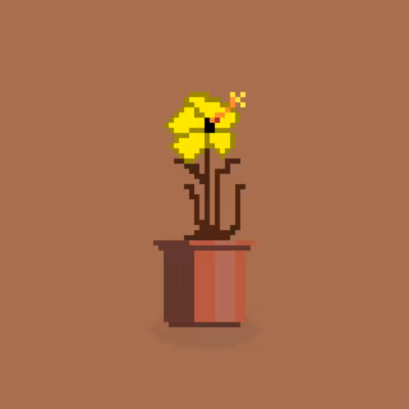 Nothing But Flowers #7