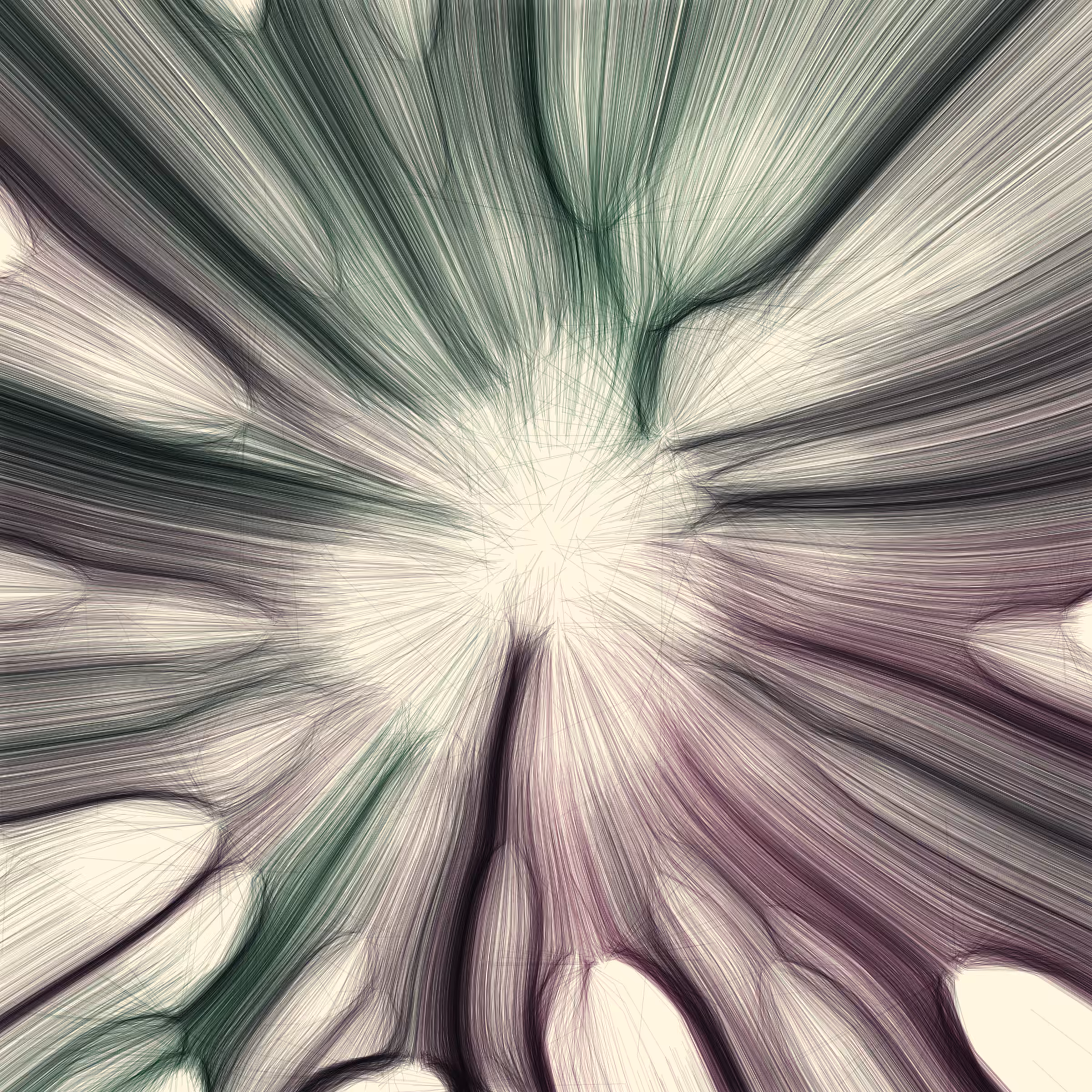 Gravity 12 #211