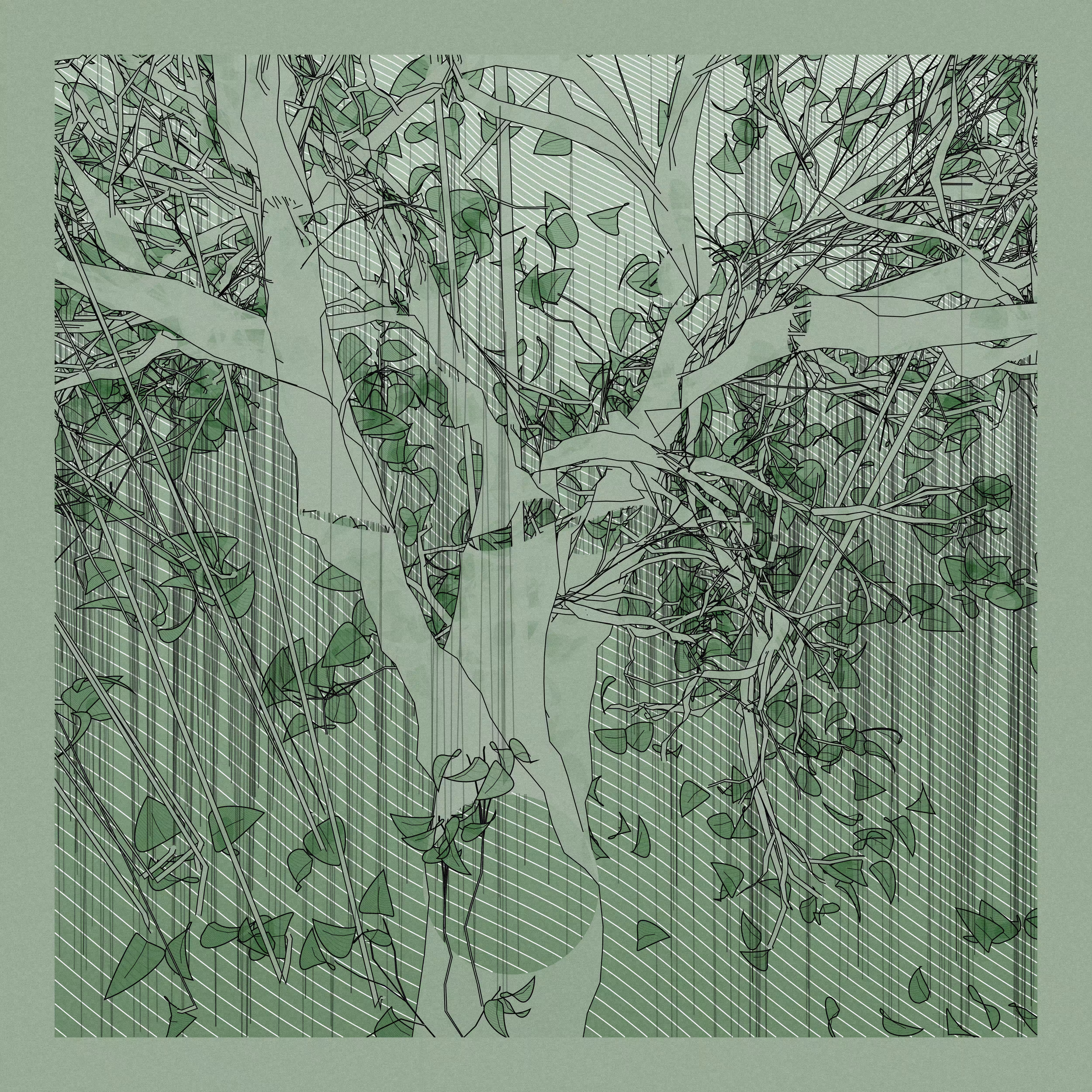 A Bugged Forest #249