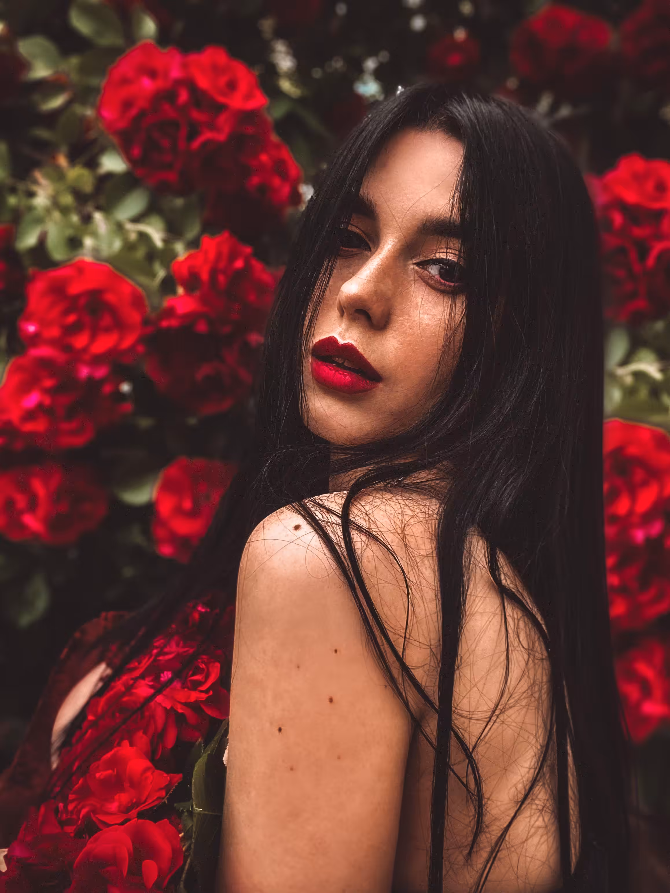 Delightful roses