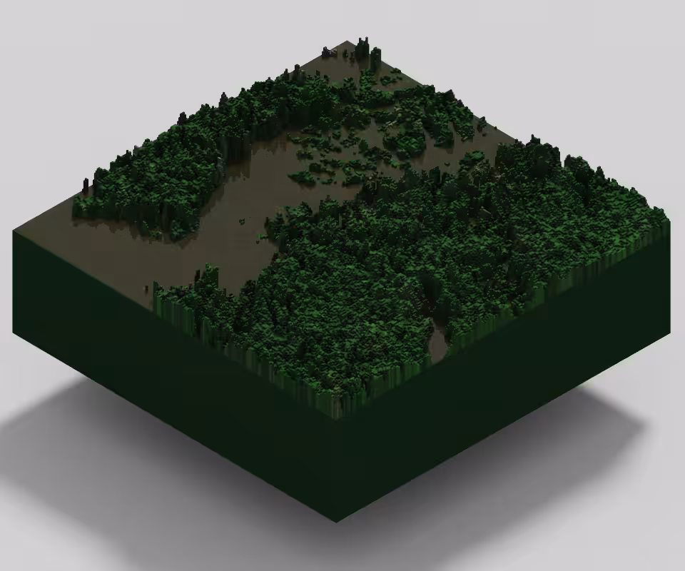 Lot #5 Amazonia