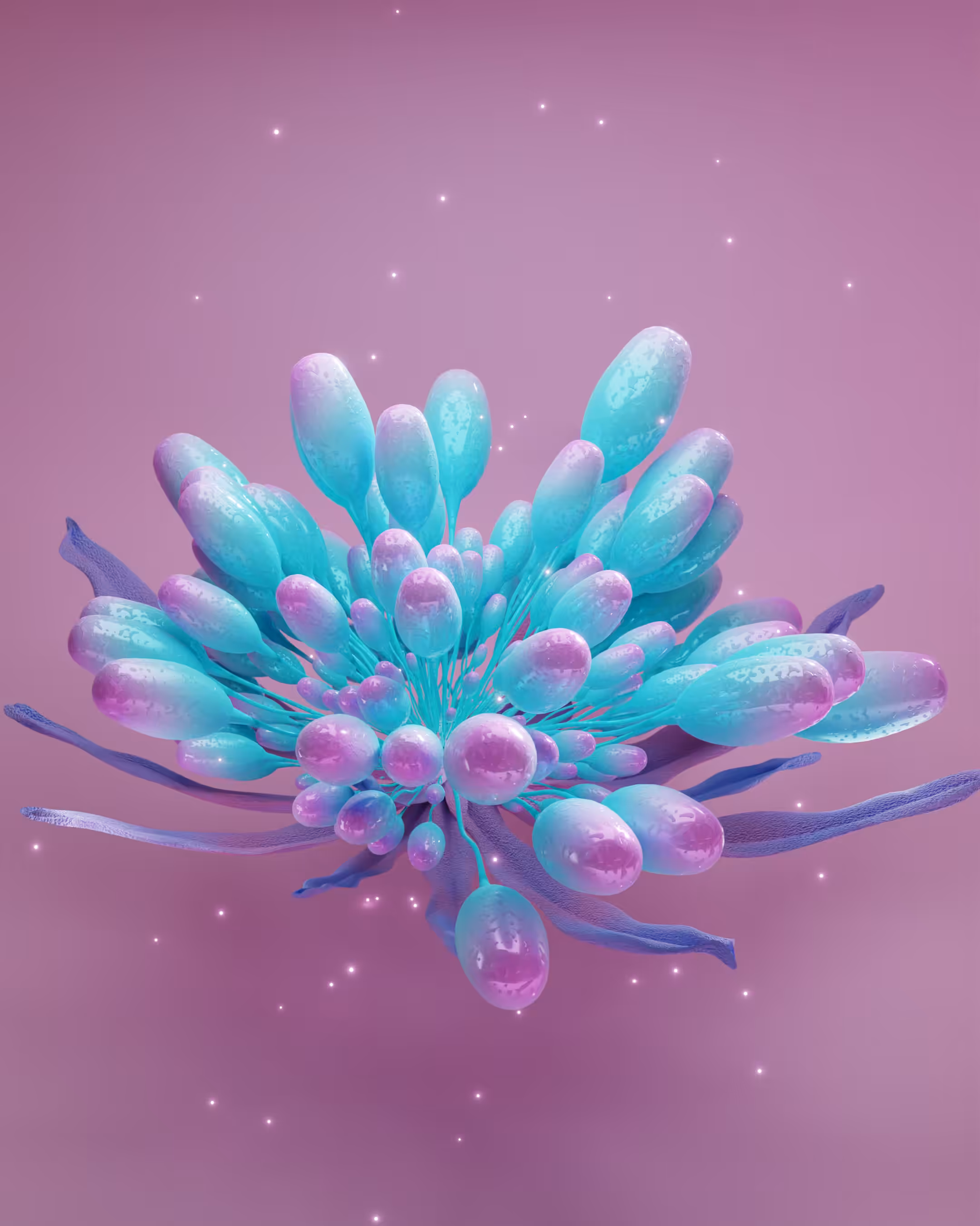 sea.form.003.reveal