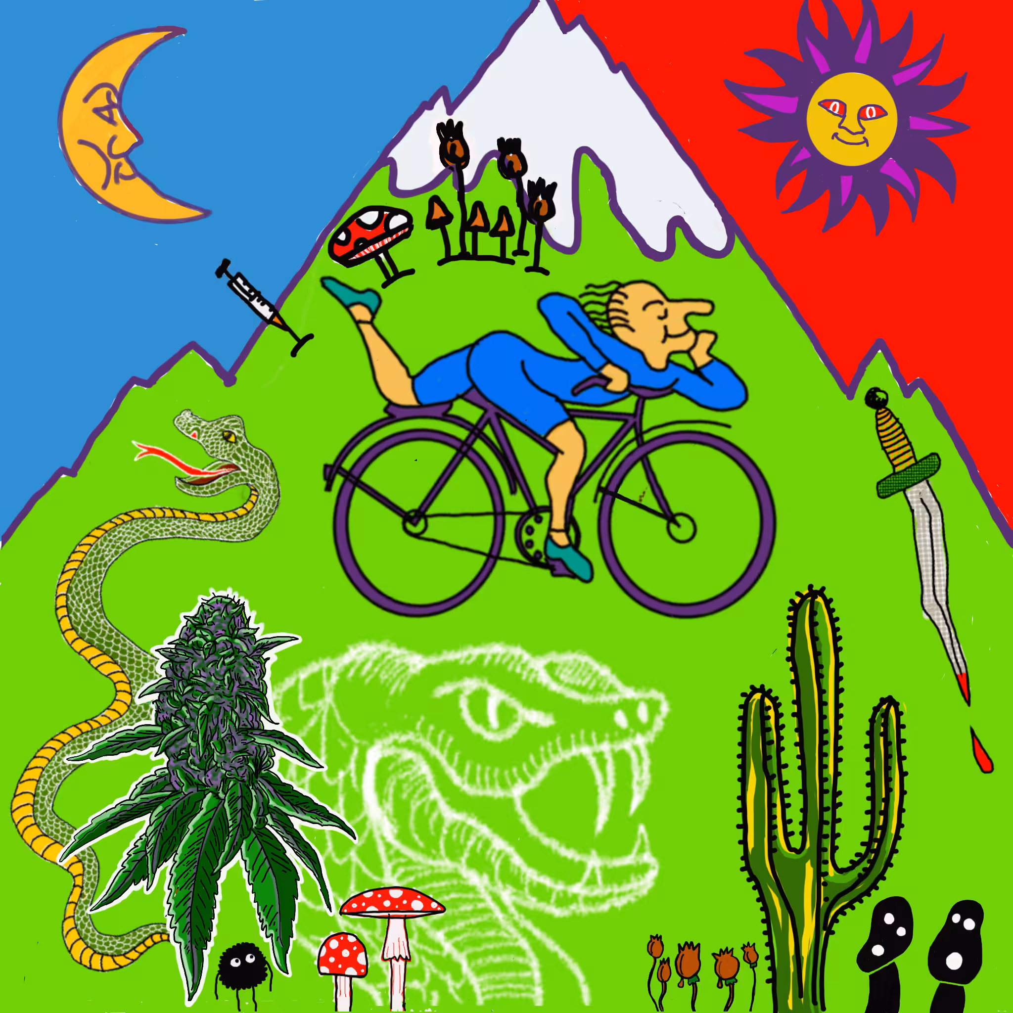Bicycle Trip
