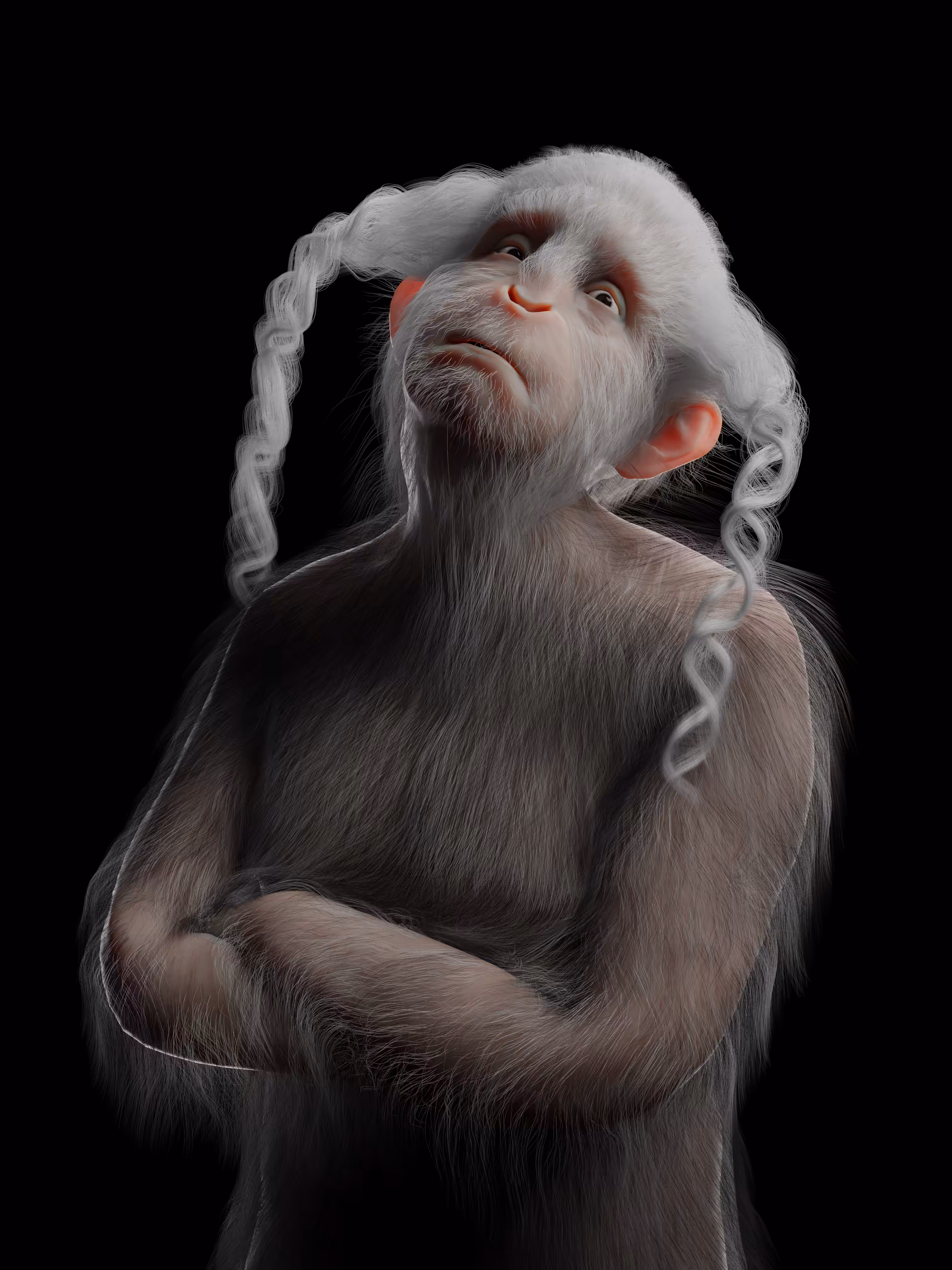 Portrait Chimpanzee 