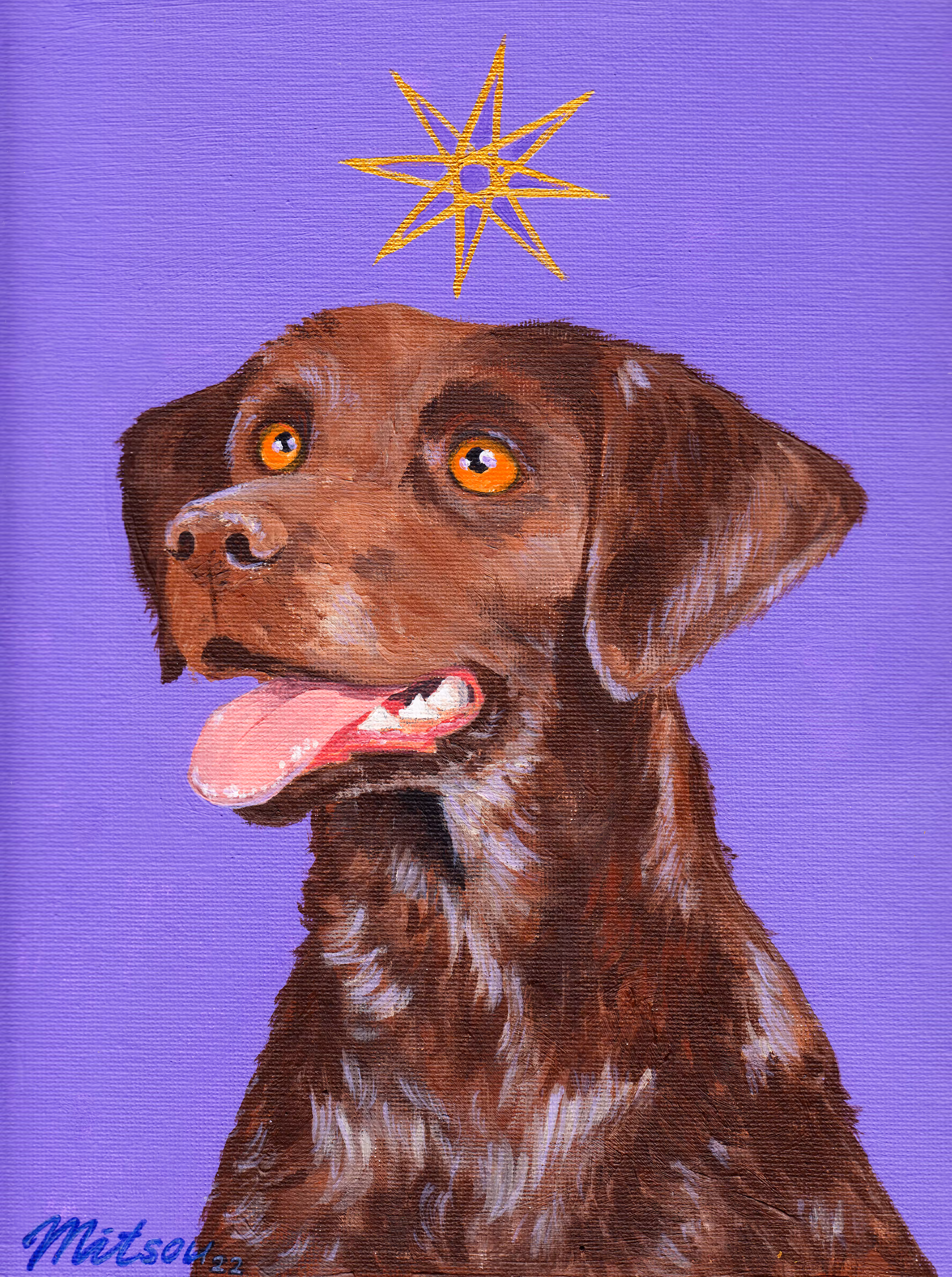 Dogami labrador