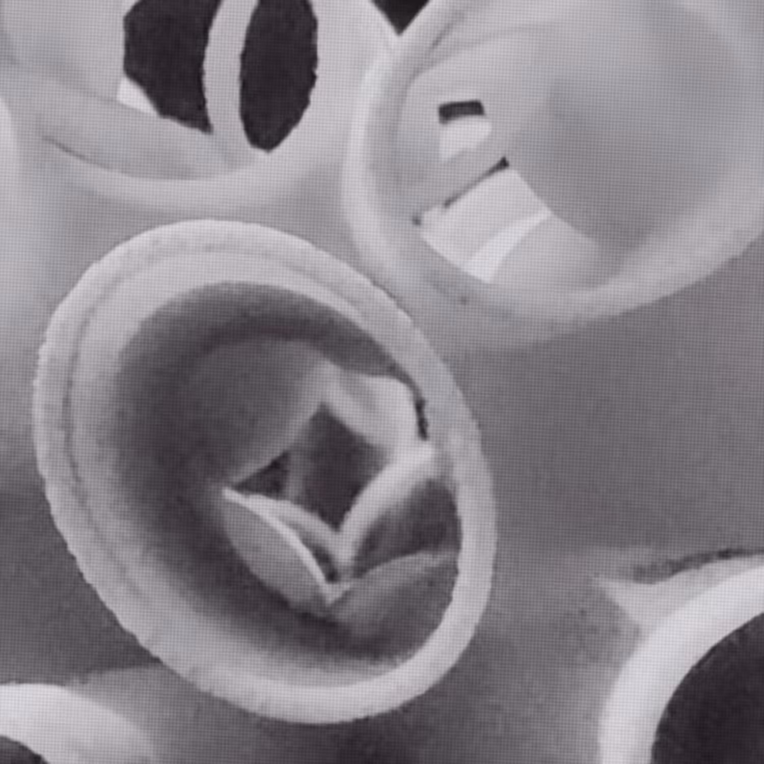 Ephemeron_3