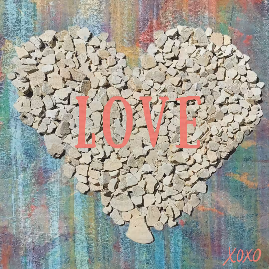 Sand Dollar Fragment Heart