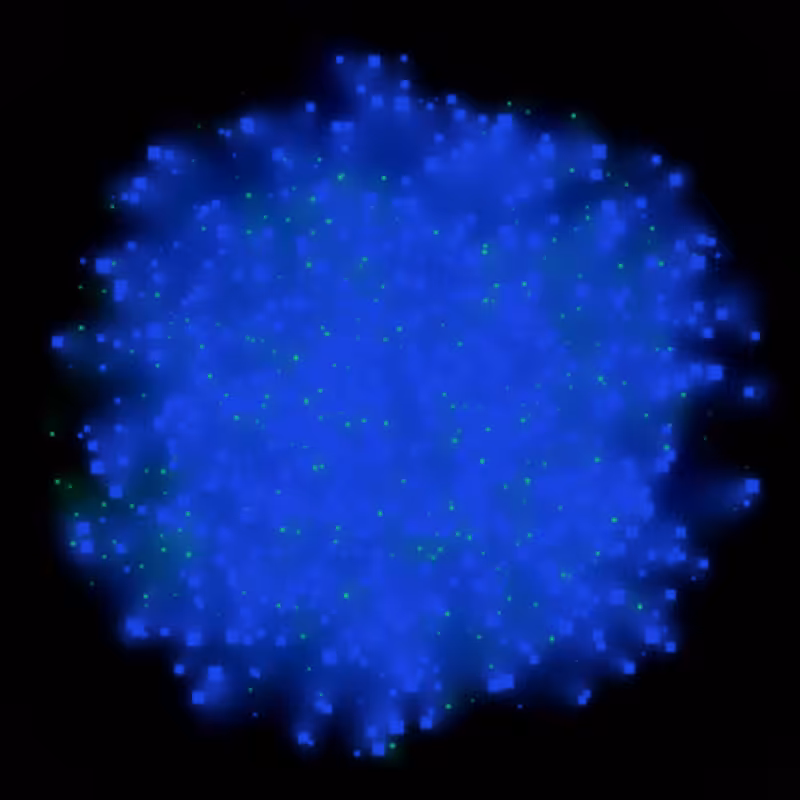 Petri Dish #28