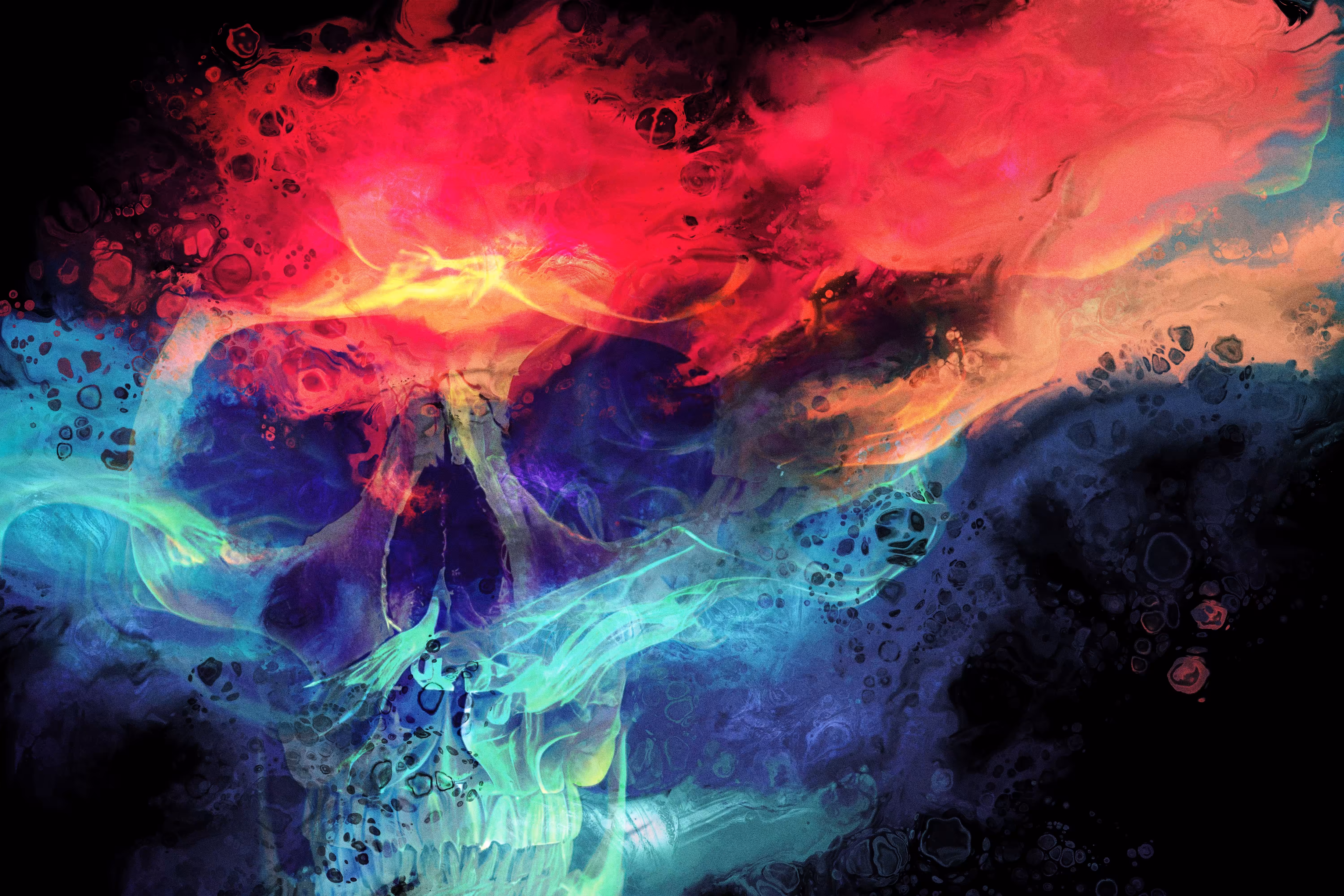 Fluid skulls # 2