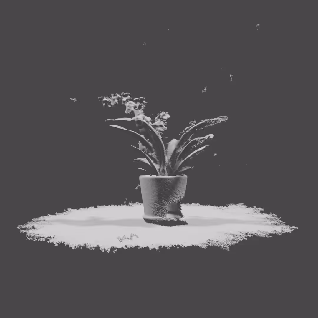 Orchid #2