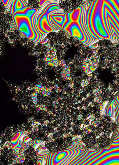 LSD