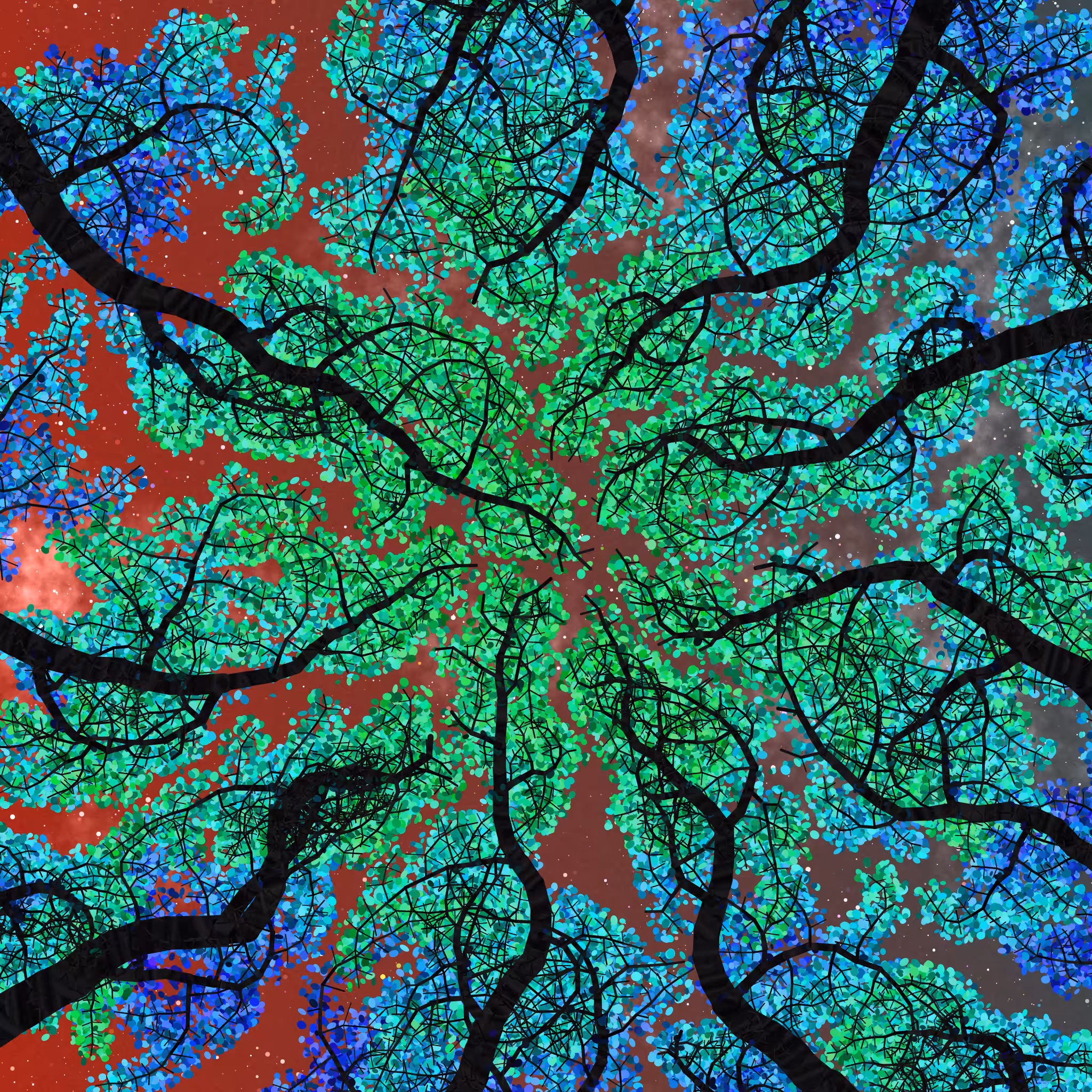 Tree Skyness #205