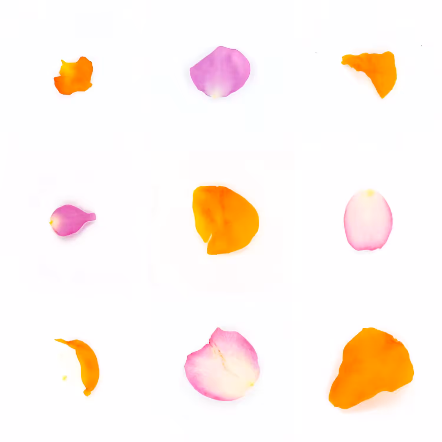Infinite Petals 3x3#2202