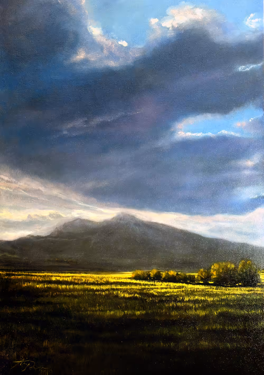 Summer Bashir Mountain