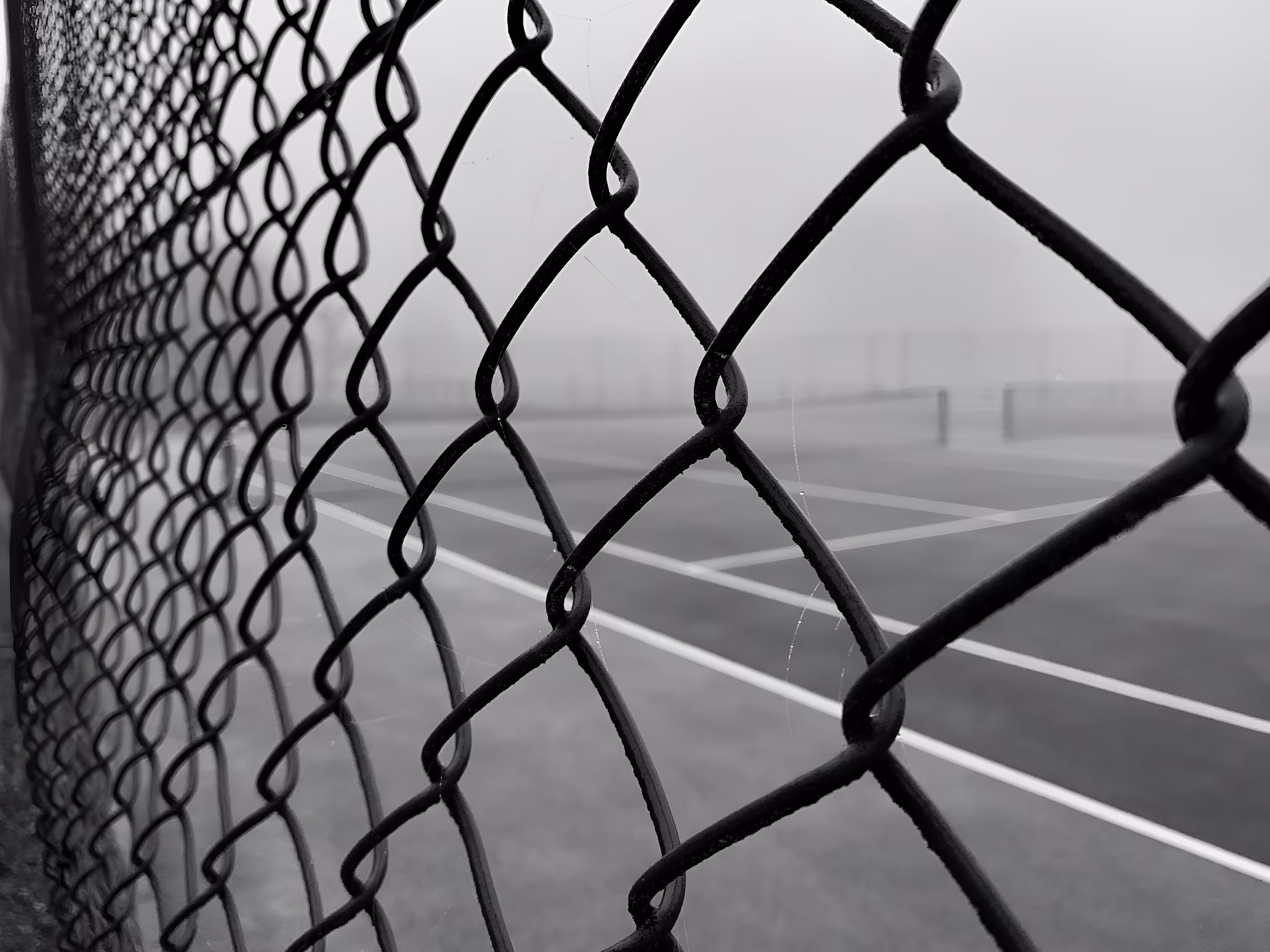 Misty Court