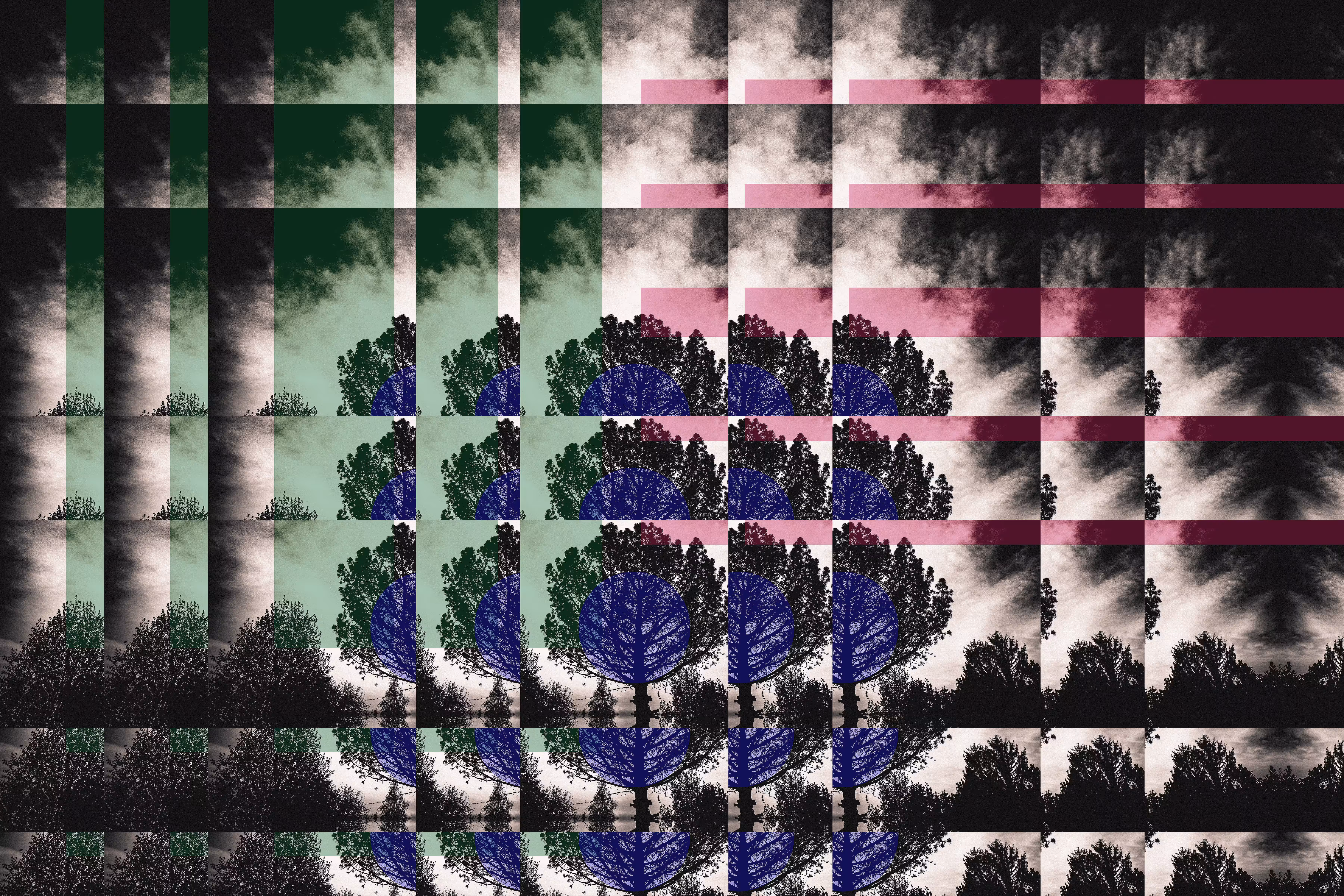 Forest II